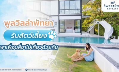 พูลวิลล่าพัทยา รับสัตว์เลี้ยง พาเพื่อนสี่ขาไปเที่ยวด้วยกัน