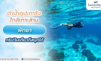 ดำน้ำดูปะการังใกล้เกาะล้าน พัทยา ทริปวันเดียวก็สนุกได้